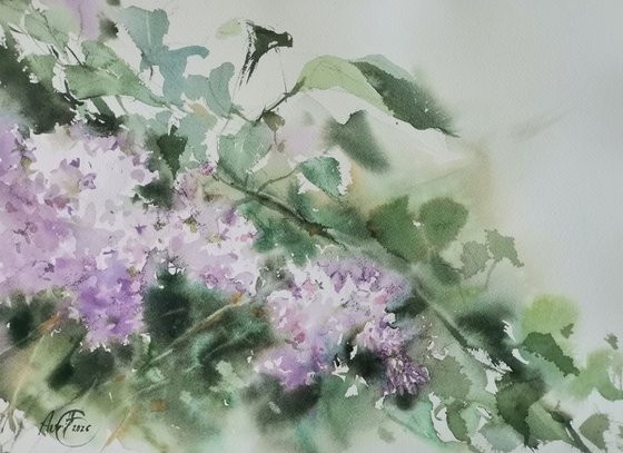 Wind in the lilac bushes #2