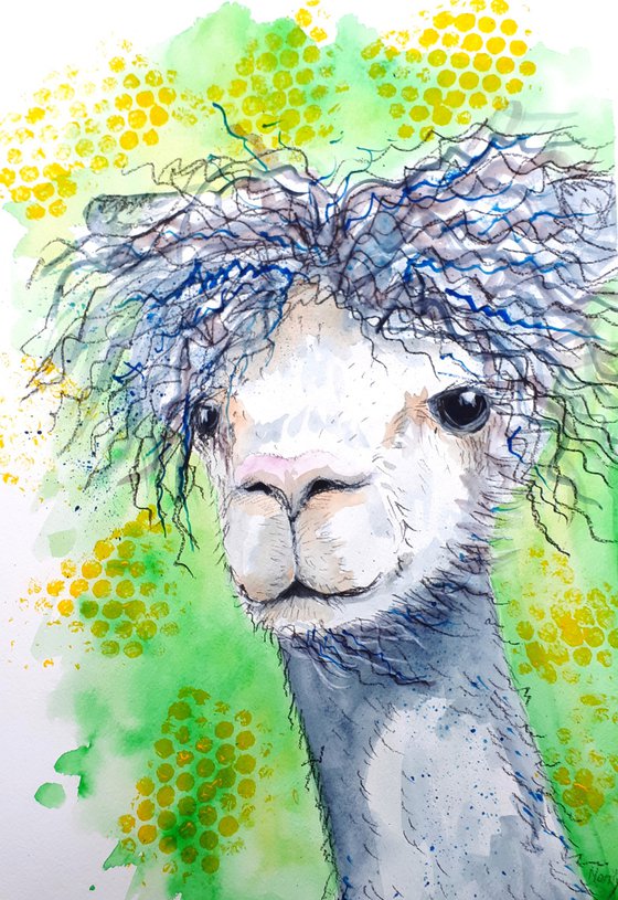 "Alpaca"