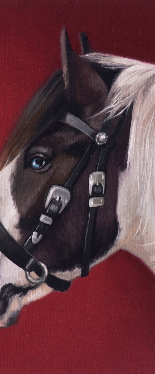 Horse Portrait 33 by Anastasia Parfilo