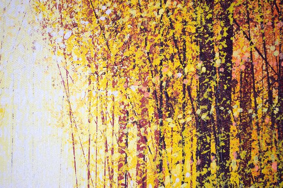 Autumn Trees At Sunset