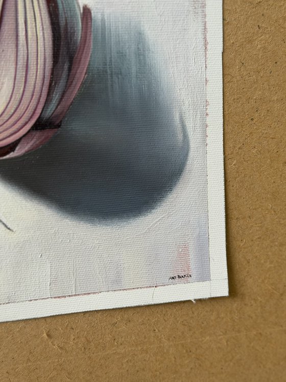 Onion. Still life