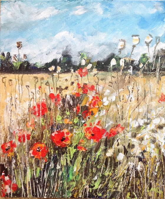 Cornfield Poppies