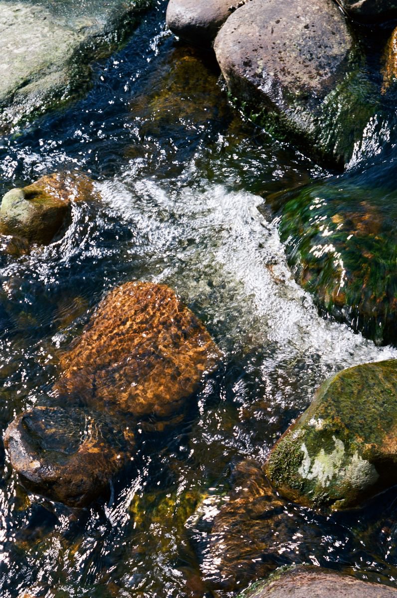 Organic Abstract Photograph By Justice Hyde, 24 X 36", Water 1 - Unmounted, Original Artwork