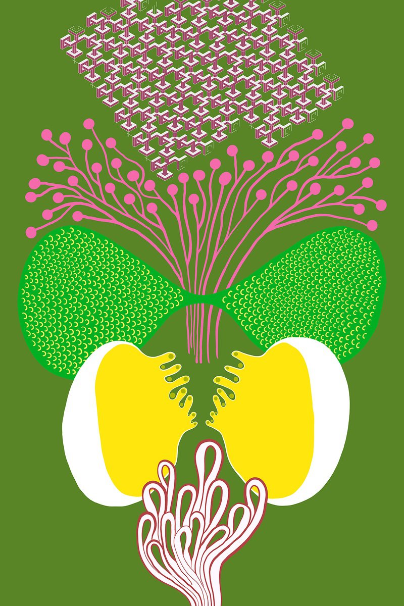 Abstract Still Life Giclee Print By Alasdair Willis, 16 X 23, Preparations, Original Artwork