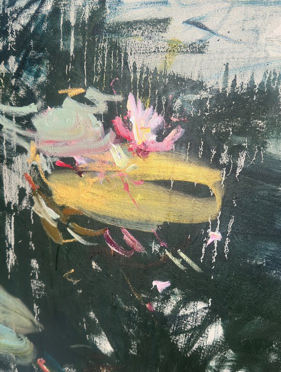 Water Lilies
