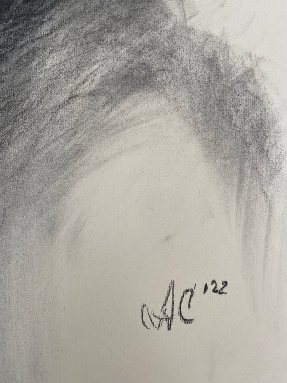 Charcoal: Thoughts