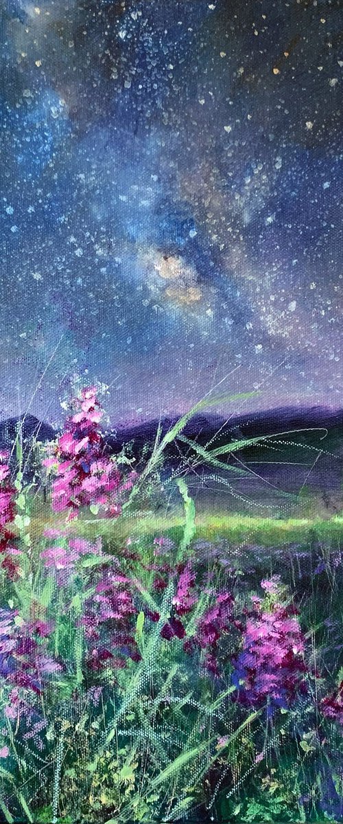 Sanctuary Of Stars by Jennifer Taylor