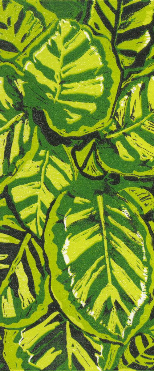Tiger Leaves by Carole King