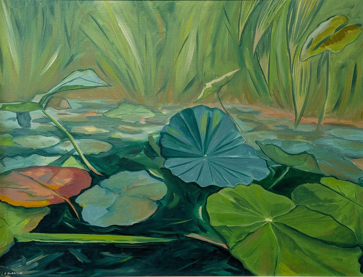 Expressive Landscape Oil Painting By Lucy Fiona Morrison, 34 X 26", Lily Pads, Original Artwork