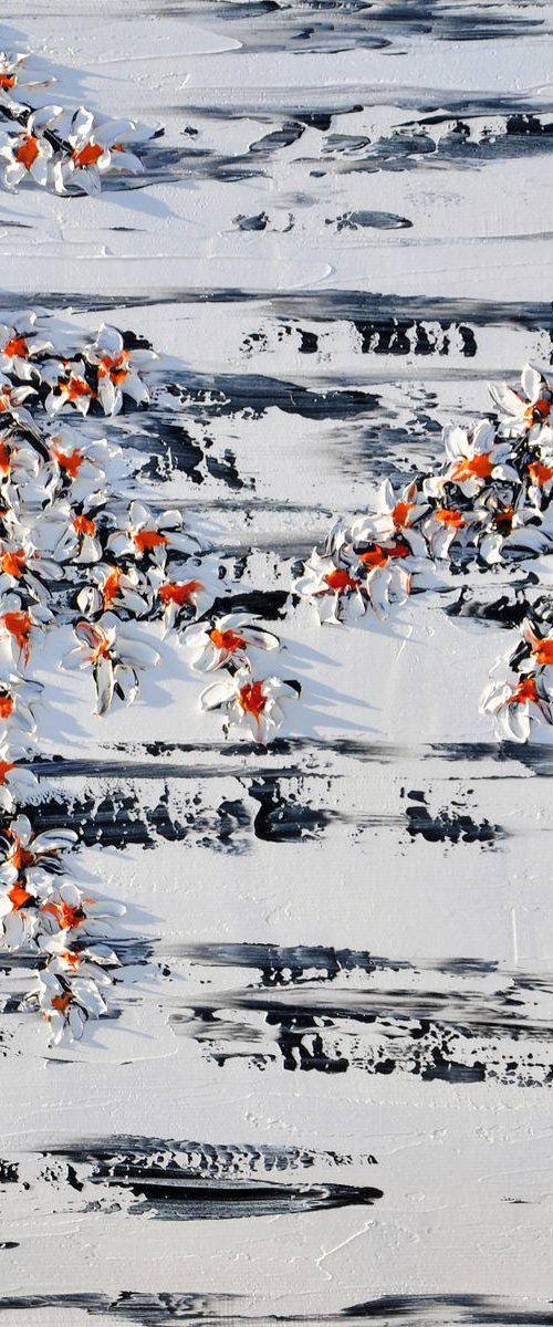 Cherries in the spring by Daniel Urbaník