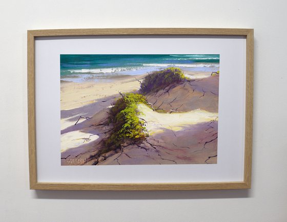 Sandy Beach Dunes