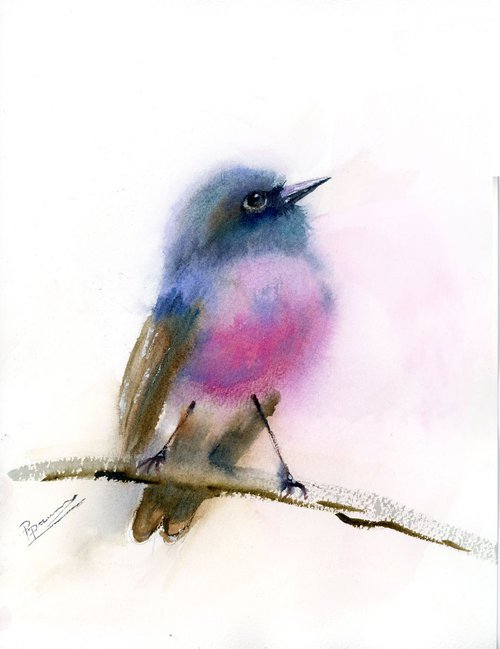 Pink robin by Olga Shefranov (Tchefranov)