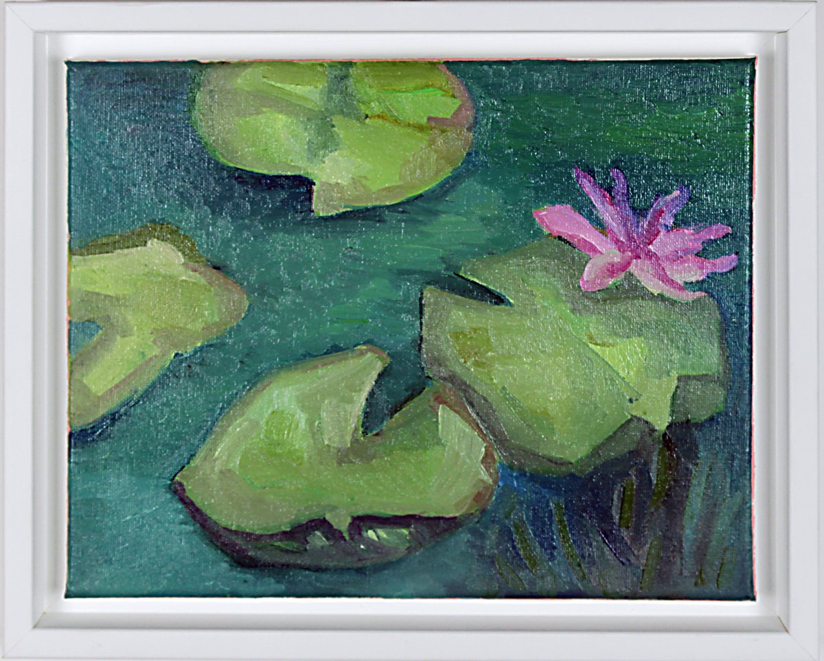 water lilies / Seerosen by Ulli Schmitt