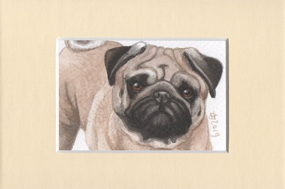 Doggie pug - miniatures