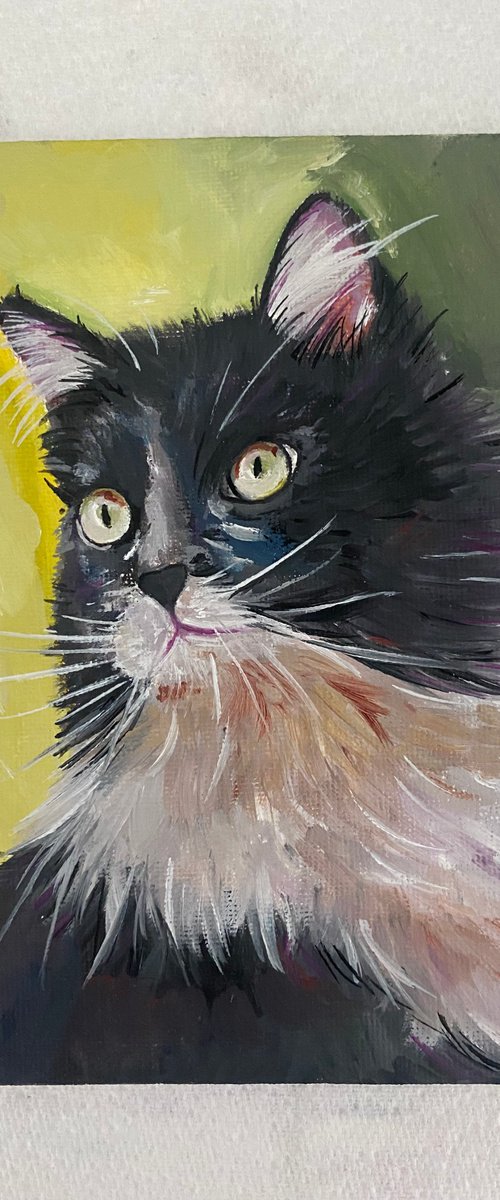 The gaze. Cat in oil paints. by Bethany Taylor