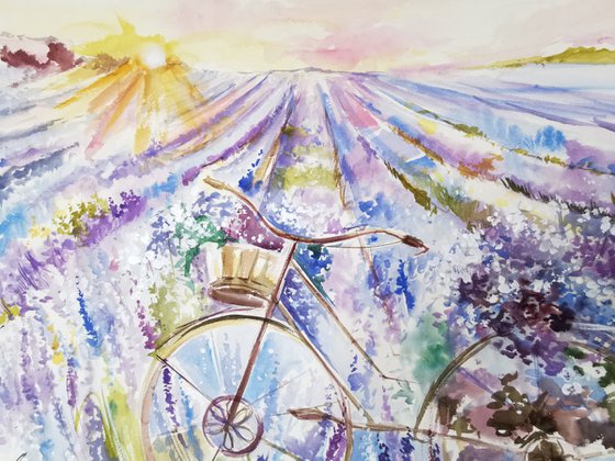 Provence drawing on paper, Bicycle painting