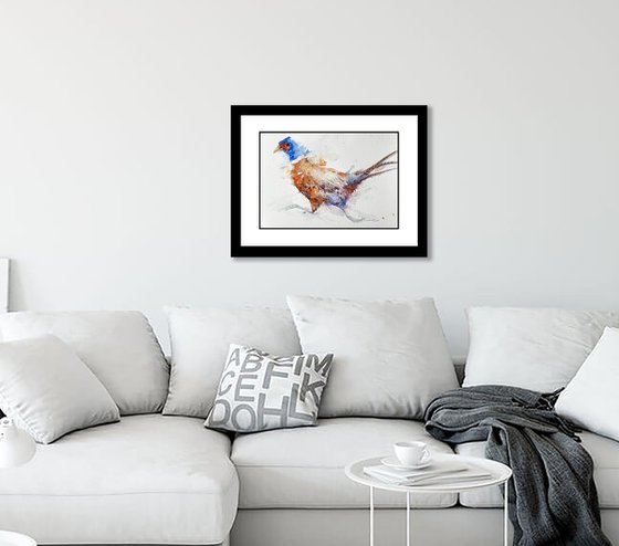 Run for it _ Pheasant