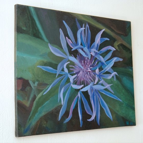 Blue Flower (De Wilde Bloem)