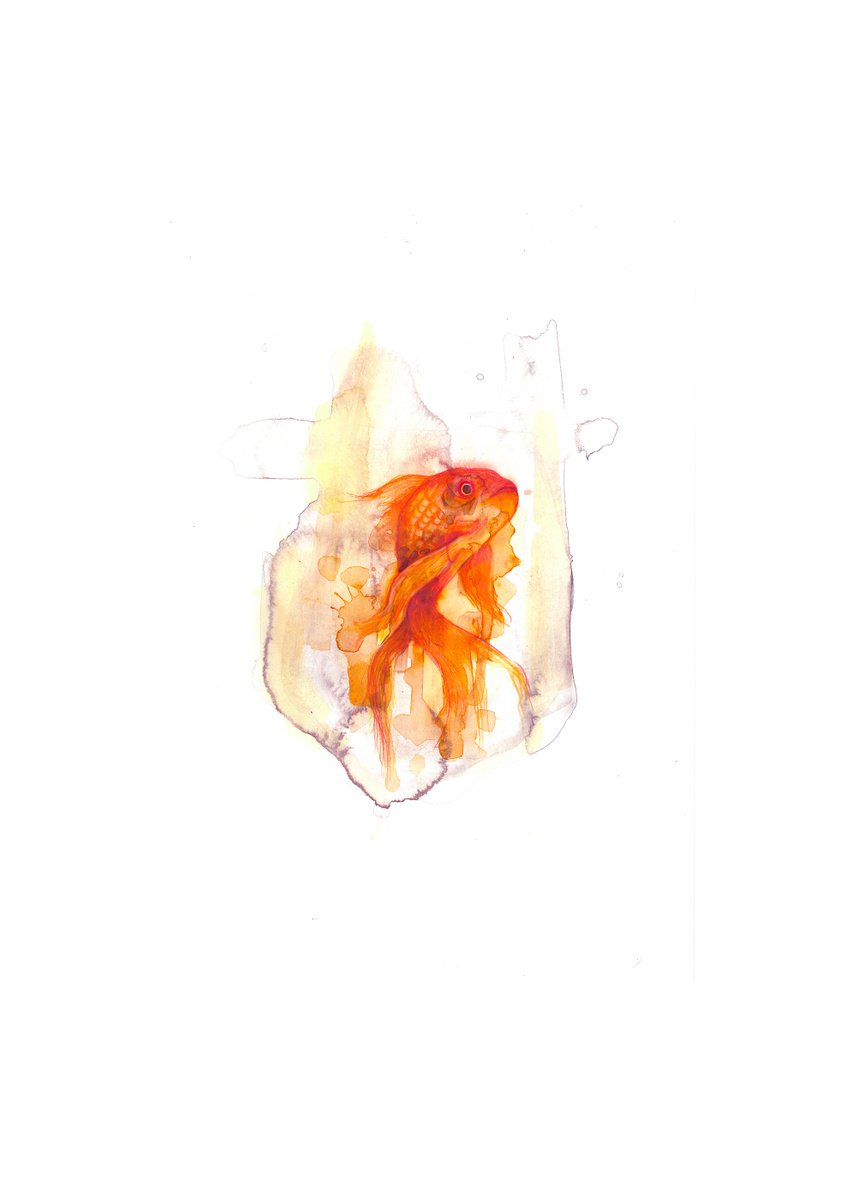 Goldfish by Gavin Dobson
