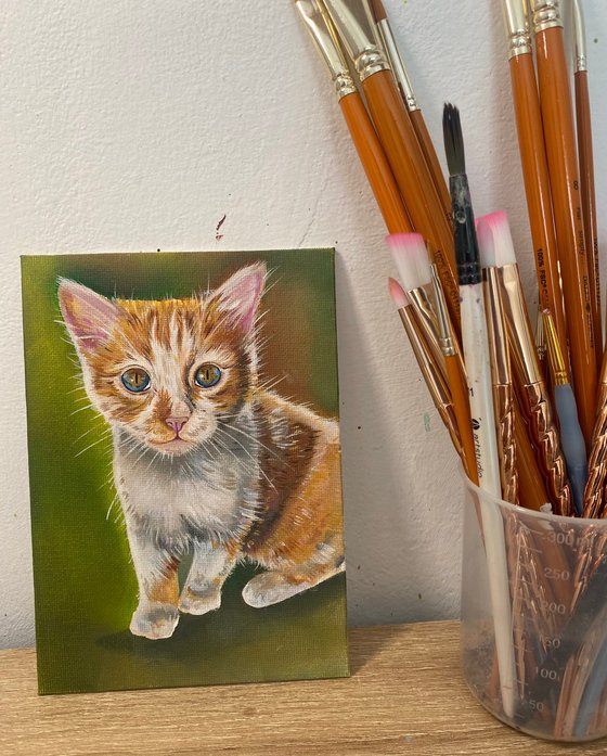 Ginger kitten oil painting