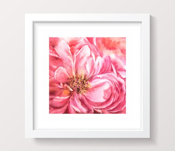 Watercolor peony, small floral painting