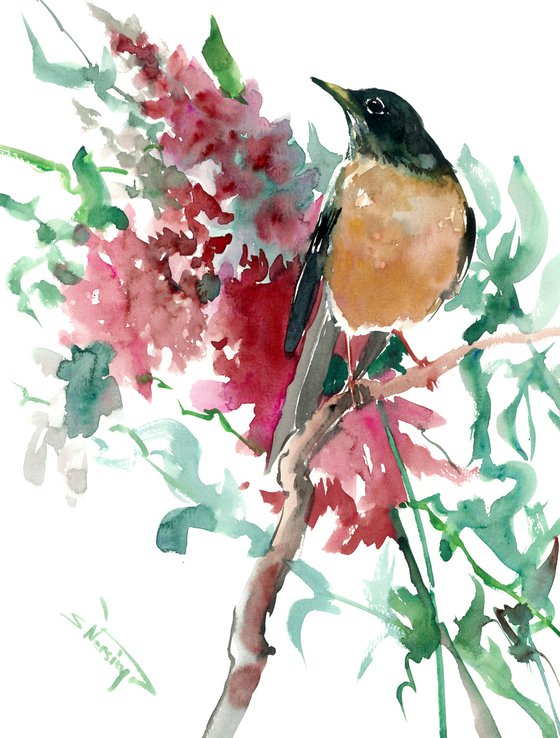 American Robin Bird Art