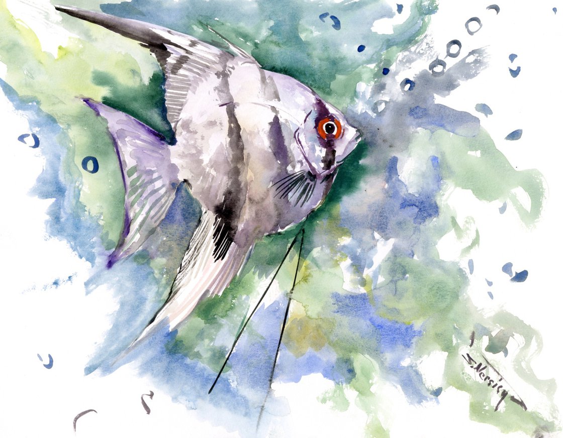 aquarium angelfish Watercolour by Suren Nersisyan