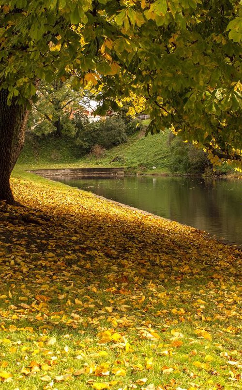 Autumn in the park by Simona Serdiuc