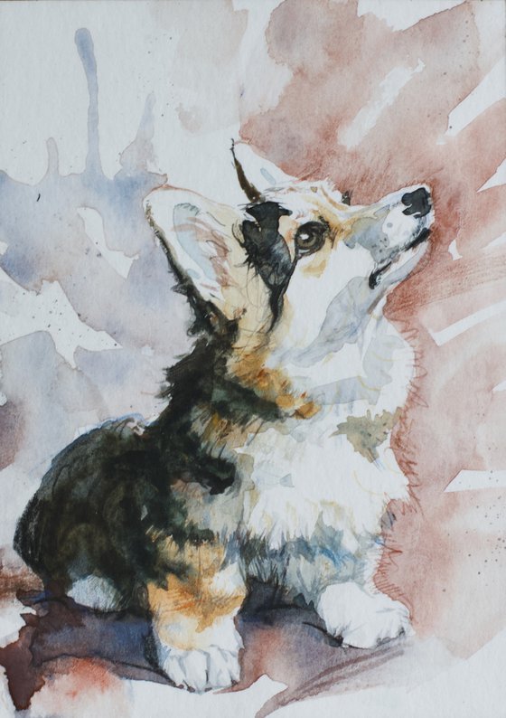 Pembroke Welsh Corgi