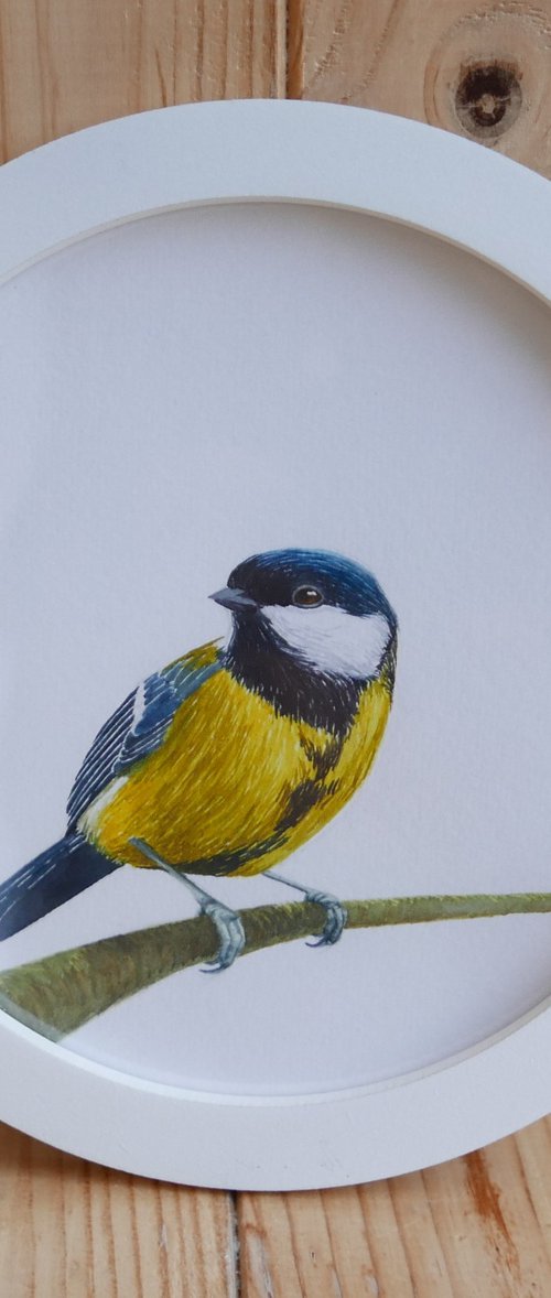Framed Bird art. Great tit. Part 2 by Karina Danylchuk