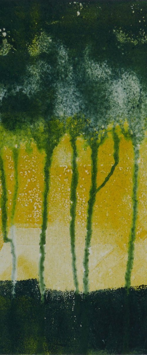 Dancing Trees by Sue Roe
