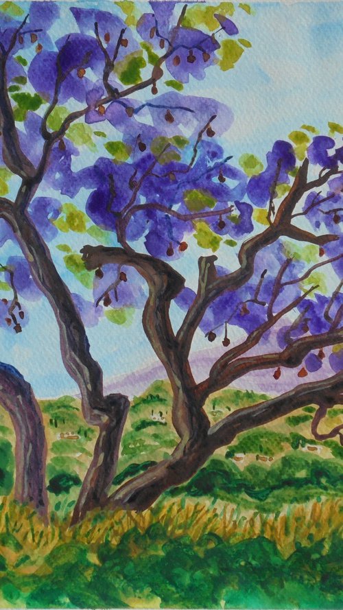 Jacaranda by Kirsty Wain