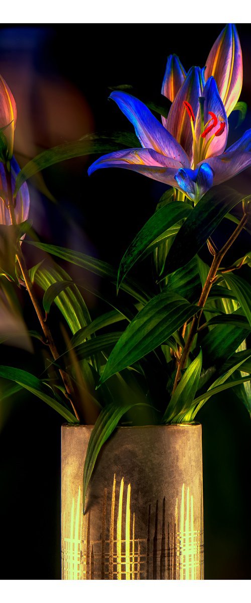 Lillies In The Golden Hour #1/10 Limited Edition Photographic Print by Graham Briggs