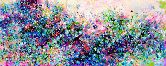 Forget me not flower field at sunrise