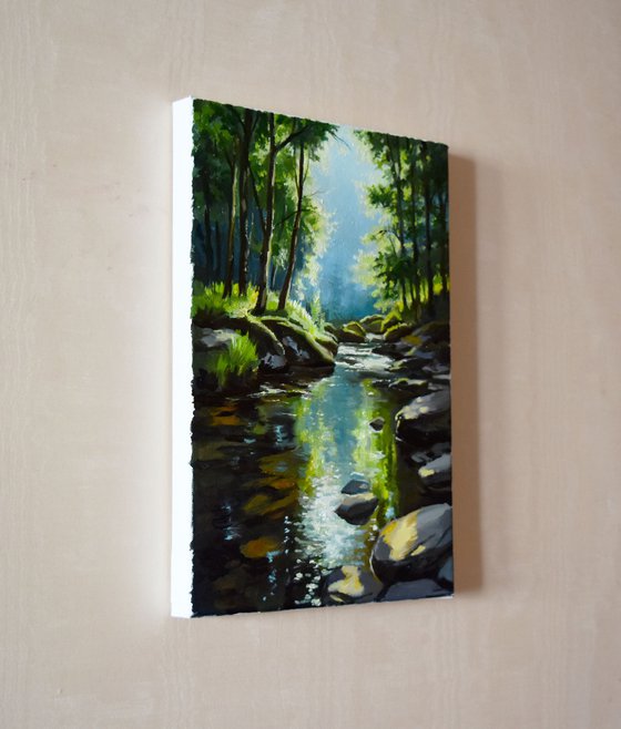 The forest river