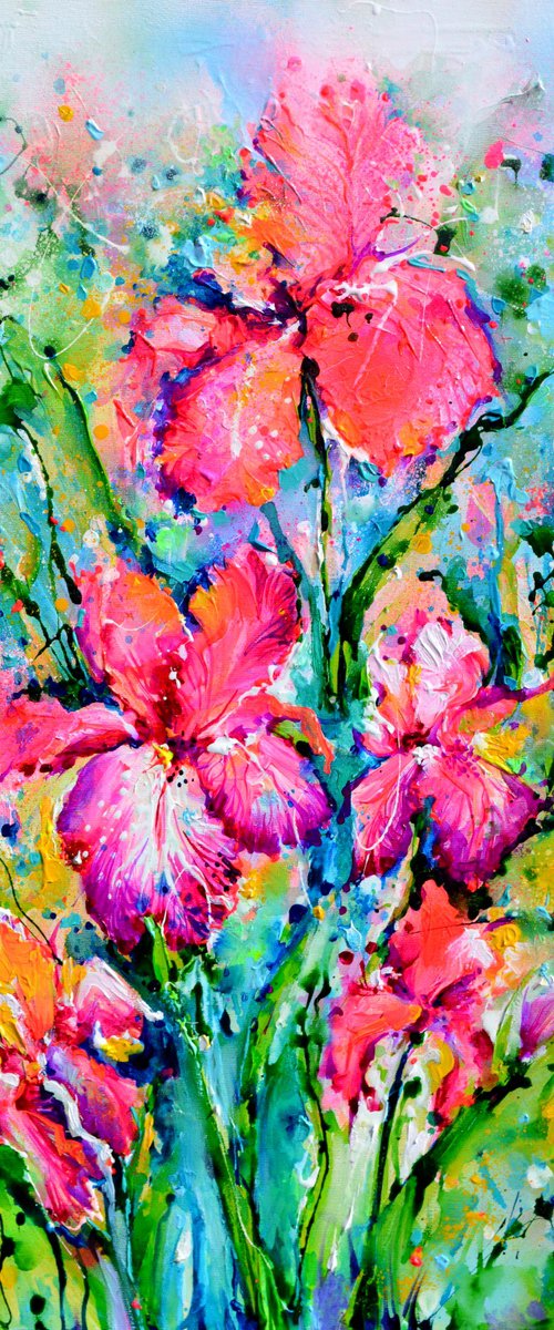 Pink Iris Flower Field by Soos Roxana Gabriela