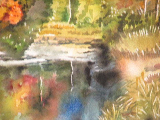 Autumn by the creek