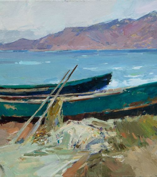 Boats on the coast of the Azov Sea by Aleksandr  Kryushyn