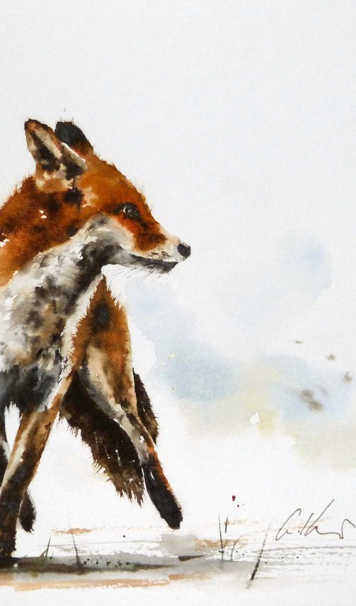 Alert Fox. by Graham Kemp