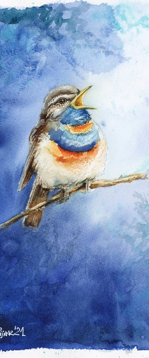 Bluethroat, watercolor of birds and wildlife by Karolina Kijak
