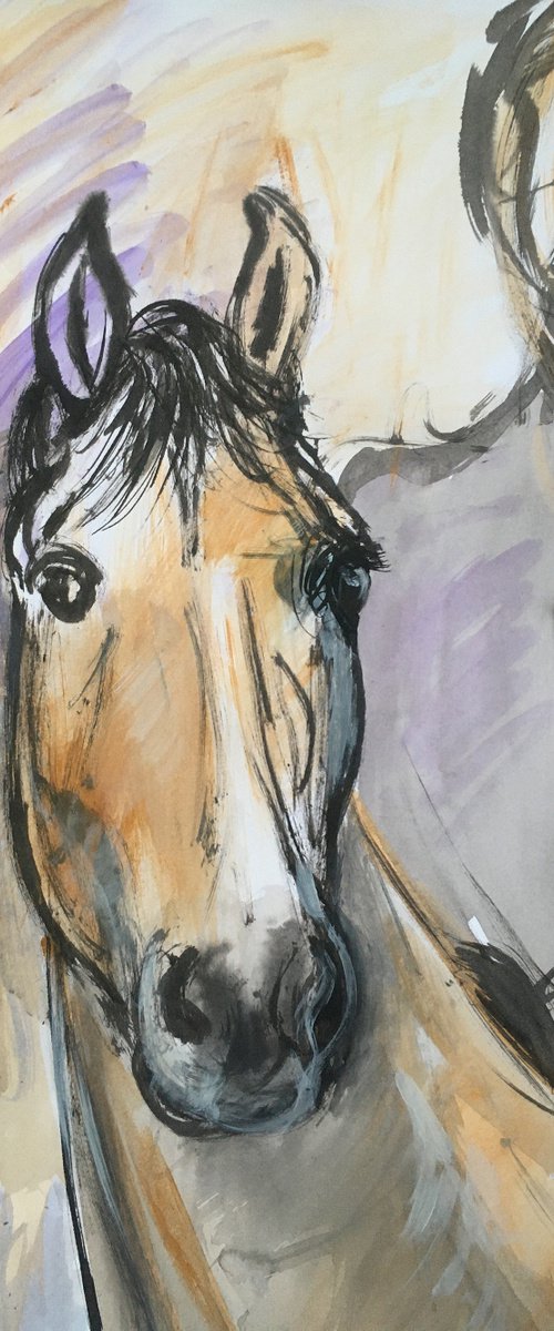 ink horse portrait sketch by René Goorman