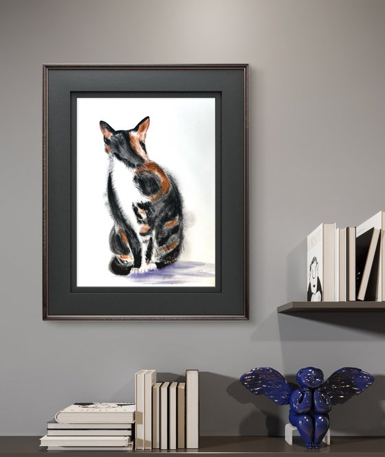 Black White Orange Cat