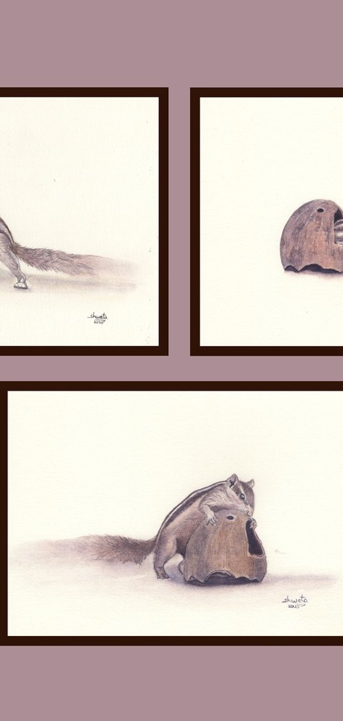 Squirrel and the coconut by Shweta  Mahajan
