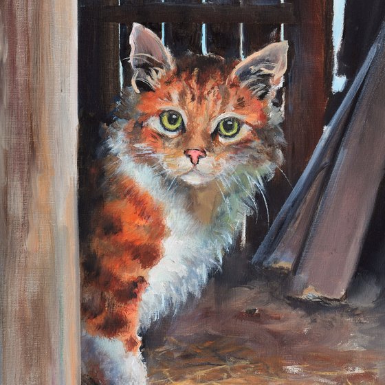 Tabby orange cat in a barn