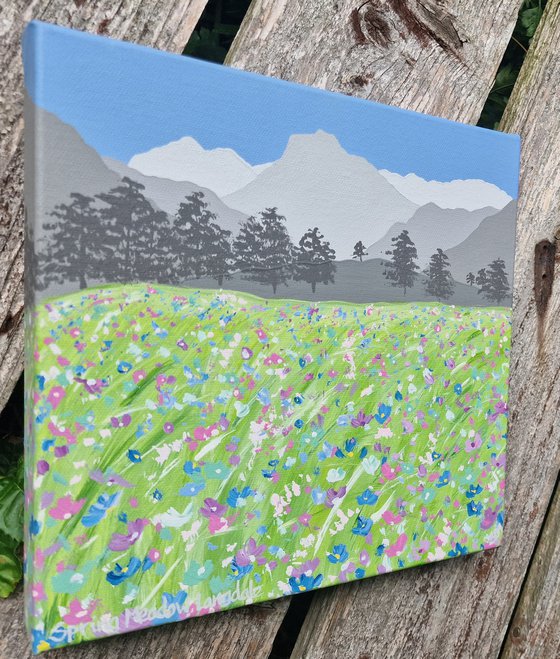 Spring Meadow, Langdale