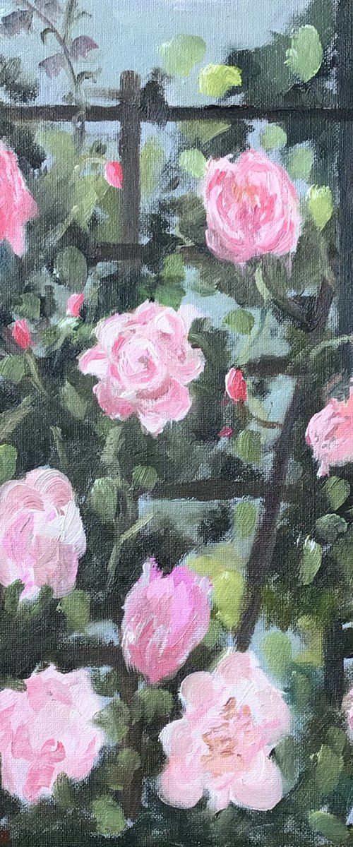 Pink Roses on a trellis, an original oil painting. by Julian Lovegrove Art
