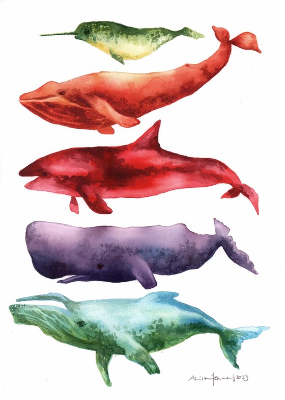 Chimerical Cetaceans - Original Watercolour Whale Painting
