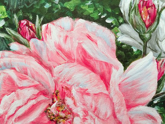 SPRING BACK TO LIFE - PEONIES