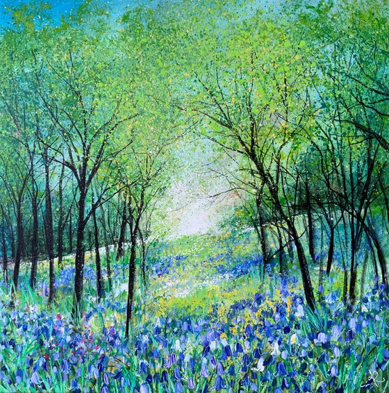 Bluebell Hillside