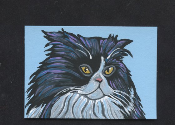 ACEO ATC Original Miniature Painting Persian Tuxedo Cat Pet Feline Art-Carla Smale